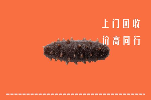 洛阳市吉利区回收海参