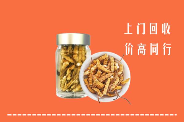 洛阳市吉利区回收冬虫夏草