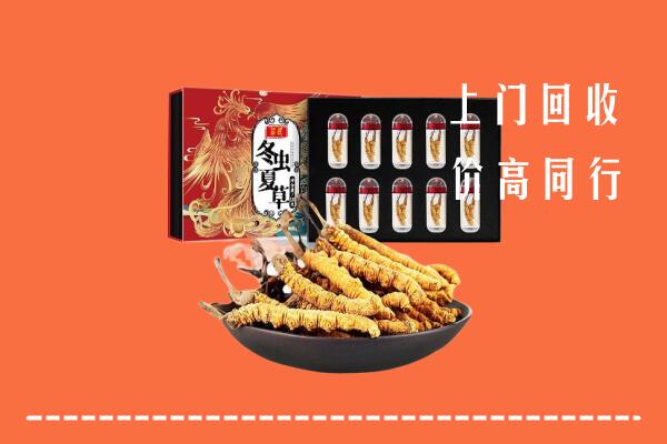 洛阳市吉利区回收虫草
